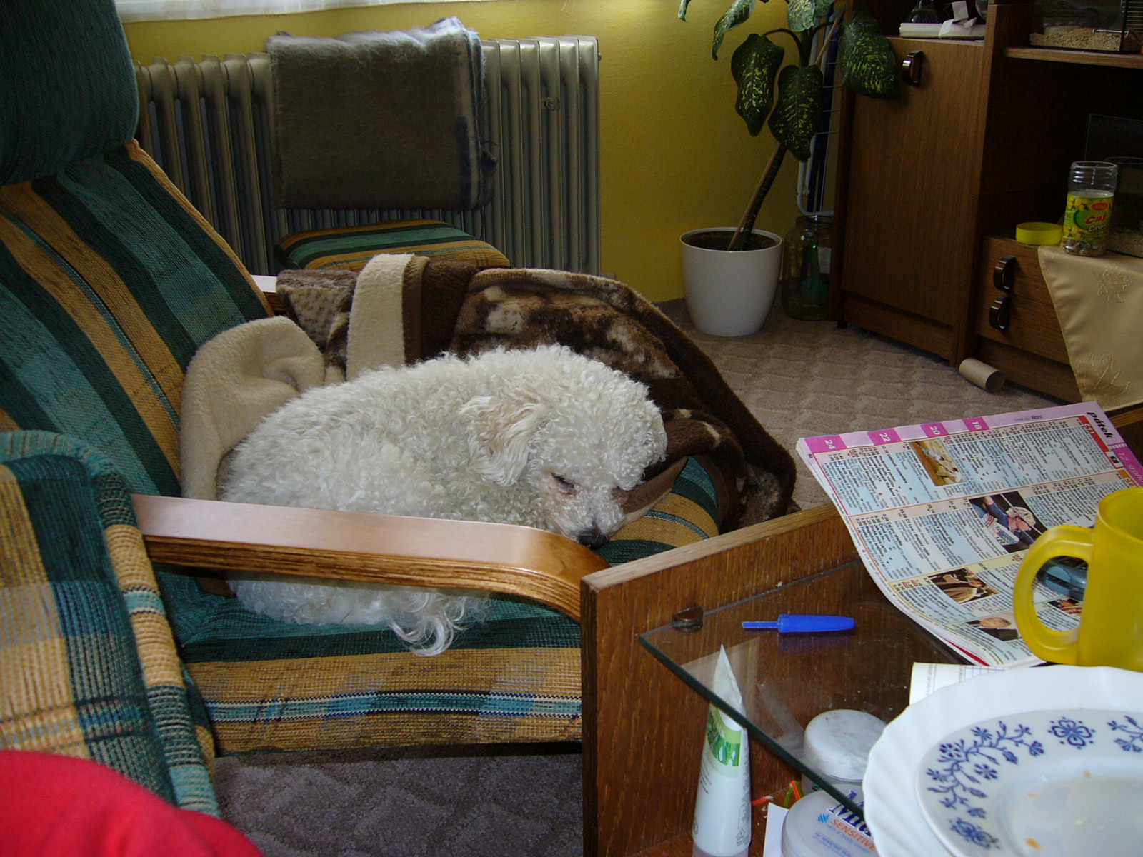 Chrrrrrrrrrrrrrrrr, pší!!!.jpg